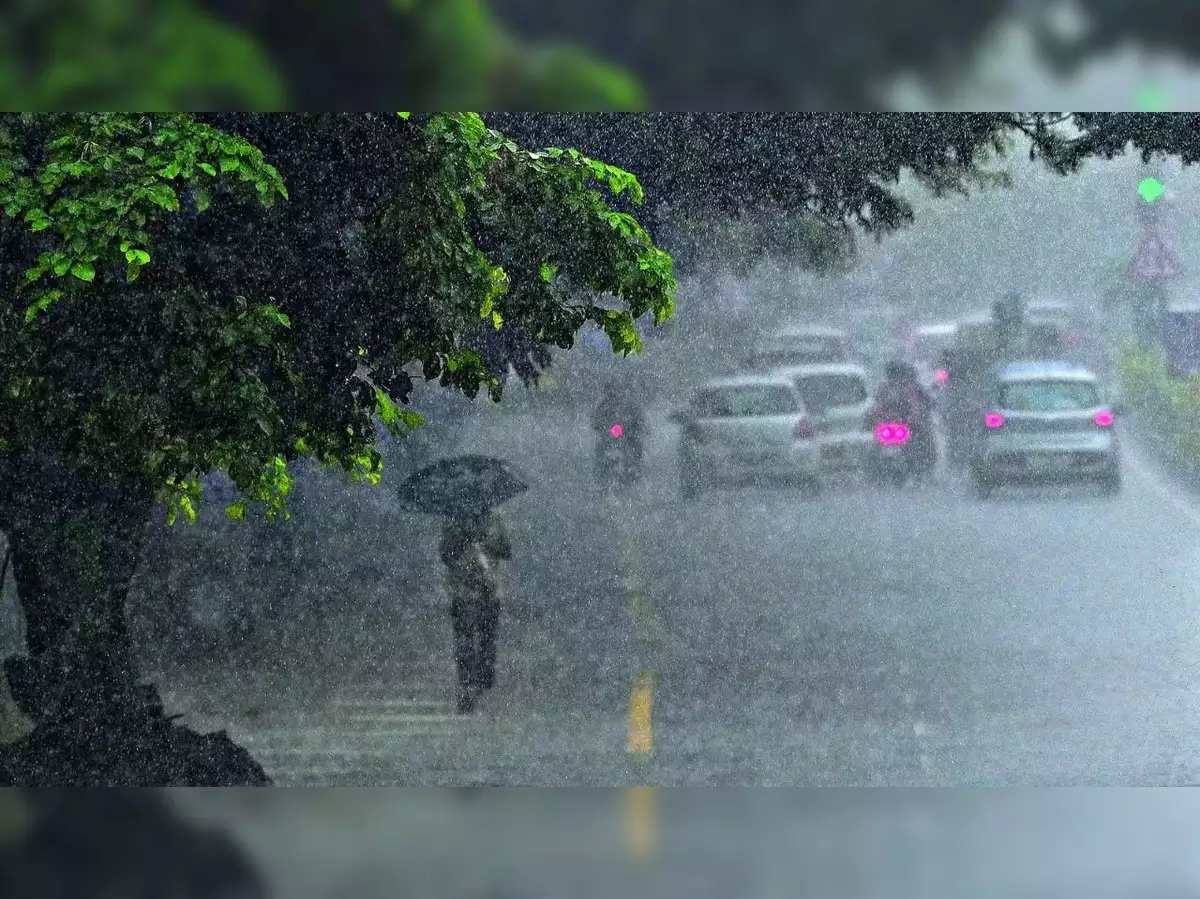 Cyclone Fengal updates: Heavy rain in Tamil Nadu; wind speed likely to reach 70 kmph. Are schools closed today?