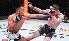 UFC Action Heats Up with Thrilling Bouts, Rising Stars, and High-Stakes Championship Fights