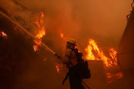 Understanding the Palisades Fire: Causes, Impact, Response, and Future Prevention Efforts